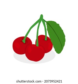 Cerezo aislado en el fondo blanco. Vector de diseño plano de cereza