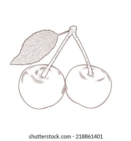 Cherry isolated on a white background. Hand drawn line art. Retro design. Vector illustration.