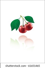 cherry isolated on a white background