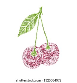 Cherry isolated on white. Botanical illustration object. Hand drawn ink painting. Design element.
