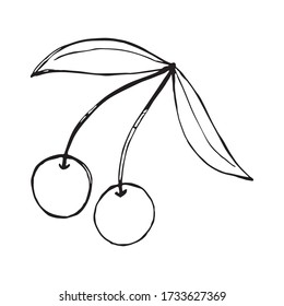 Cherry, isolated on white, hand drawn sketch illustration
