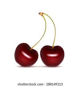 Cherry isolated on white. High quality vector. EPS10 vector