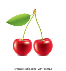 Cherry isolated on white photo-realistic vector illustration