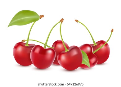 Cherry isolated on white. Sweet fruit. Realistic vector illustration