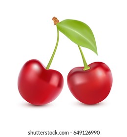 Cherry isolated on white. Sweet fruit. Realistic vector illustration