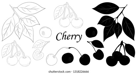 Cherry isolated silhouette and sketch on white background. Designer element set for paper, interiors, t-shirts, logos and more.