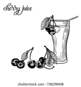 Cherry. Juice. Vector illustration. Botanical illustration. The isolated image on a white background. Vintage style.