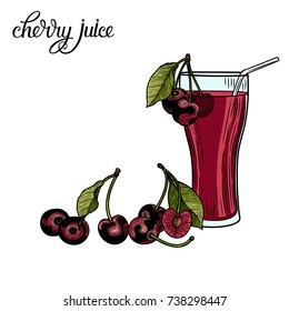 Cherry. Juice. Vector illustration. Botanical illustration. The isolated image on a white background. Vintage style.