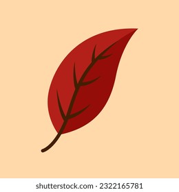 Cherry Leaf Flat Design Vector Art Illustration on Isolated Object. Autumn Vector Illustration. Autumn Vector Theme Illustration. Autumn Theme Vector Illustration.