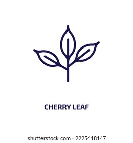 cherry leaf icon from nature collection. Thin linear cherry leaf, cherry, leaf outline icon isolated on white background. Line vector cherry leaf sign, symbol for web and mobile