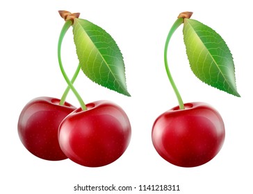 Cherry with leaf isolated on white backgound. Vector