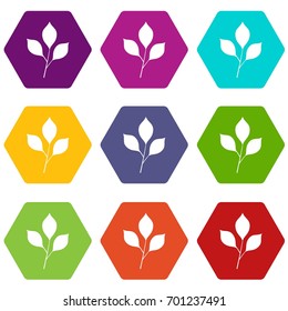 Cherry leaves icon set many color hexahedron isolated on white vector illustration