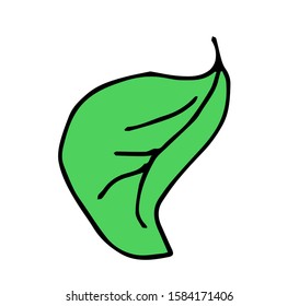 Cherry leaves icon, vector fruit illustration isolated on white background, flat fresh healthy cherries.