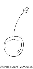 Cherry in line art Hand drawn detailed sketch art. Vector illustration