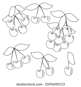 Cherry line drawing. Minimalistic fruit illustration. Simple vector sketch. Botanical outline elements. EPS 10.