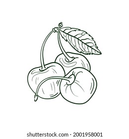 Cherry Line vector illustration. Detailed Food icon for mobile concept, print, menu, and web apps. For for restaurant, bar, vegan, healthy and organic food, market, farmers market.