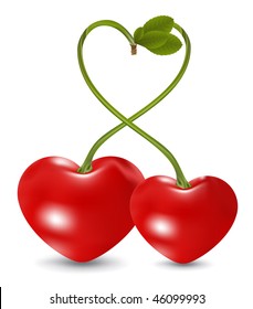 cherry love in vector