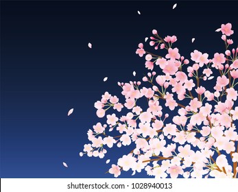 Cherry at night vector background.