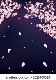 Cherry at night vector background.