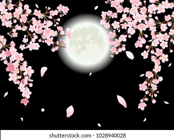 Cherry at night vector background.