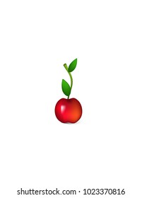 Cherry on white background