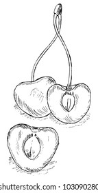 Cherry on a white background