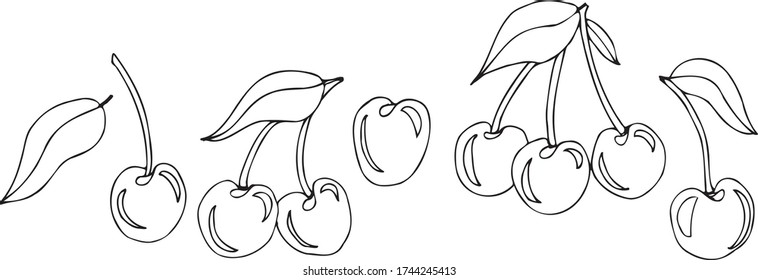 Cherry on a white isolated background. Cherry juice. Vector illustration.