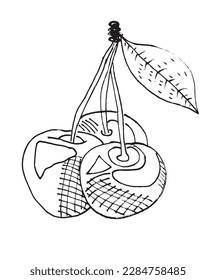 Cherry outline illustration vector image. Hand drawn Cherry sketch image artwork. Simple original logo icon from pen drawing sketch.