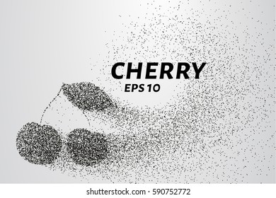 Cherry from the particles. Cherry consists of circles and points. Vector illustration.