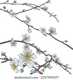 Cherry or peach blossom tree flowers design