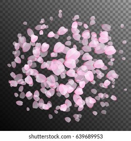 Cherry petals fly on a translucent background.