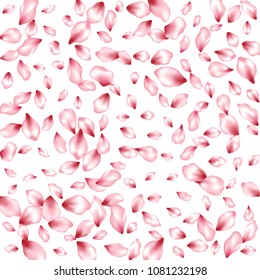 Cherry petals flying isolated on white vector invitation background. Spring falling flower parts confetti, blossom elements floral design. Trendy flower blossom petals background design.