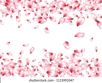 Cherry petals flying vector beauty salon background. Spring falling flower parts confetti, blossom elements seasonal design. Chinese cherry flower blossom petals poster vector background.