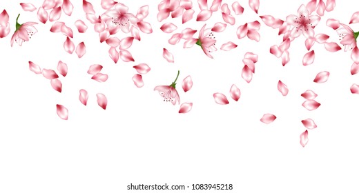 Cherry petals flying vector cosmetics background. Spring falling flower parts confetti, blossom elements anniversary design. Blowing flower blossom petals background design.