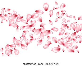 Cherry petals flying vector spa background. Spring falling flower parts confetti, blossom elements graphic design. Bright flower blossom petals isolated on white background pattern.