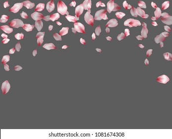 Cherry petals flying vector spa background. Spring falling flower parts confetti, blossom elements valentine design. Windy flower blossom petals flyer vector background.