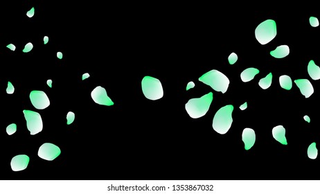 Cherry petals. Pink flying petals. Flower design.Spring pattern. Delicate style.

