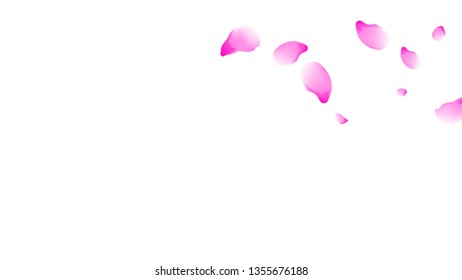 Cherry petals. Pink flying petals. Flower design.Spring pattern. Delicate style.
