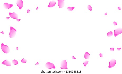 Cherry petals. Pink flying petals. Flower design.Spring pattern. Delicate style.
