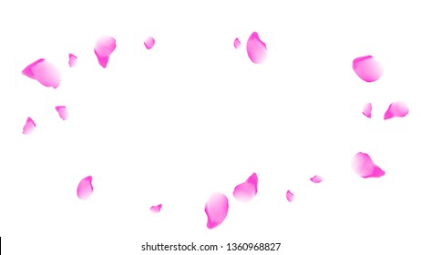 Cherry petals. Pink flying petals. Flower design.Spring pattern. Delicate style.
