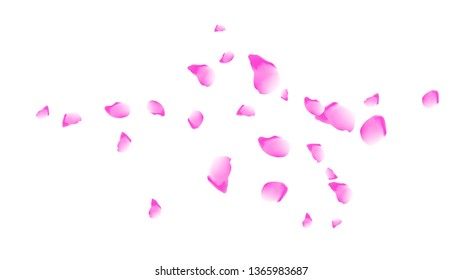 Cherry petals. Pink flying petals. Flower design.Spring pattern. Delicate style.
