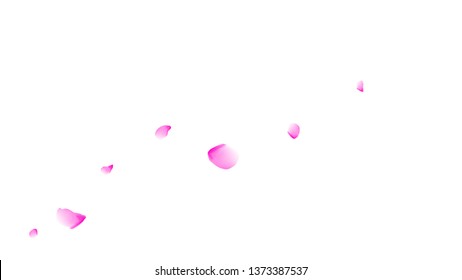 Cherry petals. Pink flying petals. Flower design.Spring pattern. Delicate style.
