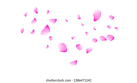 Cherry petals. Pink flying petals. Flower design.Spring pattern. Delicate style.
