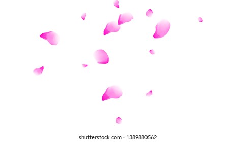 Cherry petals. Pink flying petals. Flower design.Spring pattern. Delicate style.
