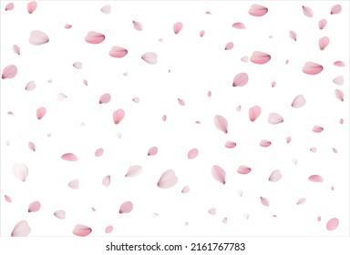 Cherry petals vector backdrop. Sakura petals background. 