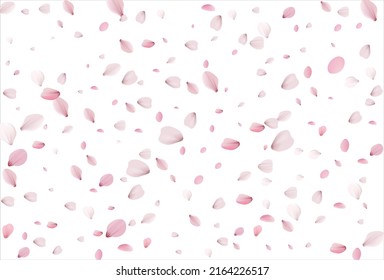 Cherry petals vector backdrop. Sakura petals background. 