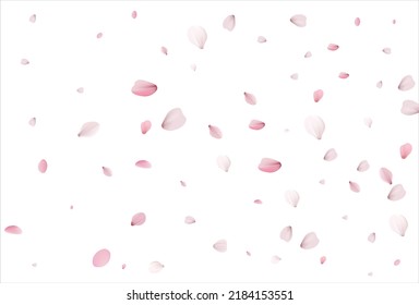 Cherry petals vector backdrop. Sakura petals background. 