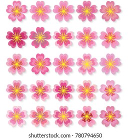Cherry pink flower, spring sakura blossom vector icon set