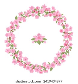 Cherry pink flowers frame. Sakura blossom branch round wreath, Japanese blooming sakura tree frame flat vector illustration. Spring cherry blossom border