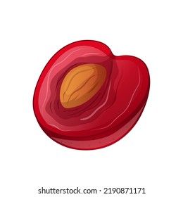 cherry pit cartoon. half fruit, slice seed, red food cherry pit vector illustration